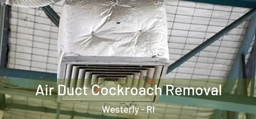  Air Duct Cockroach Removal Westerly - RI