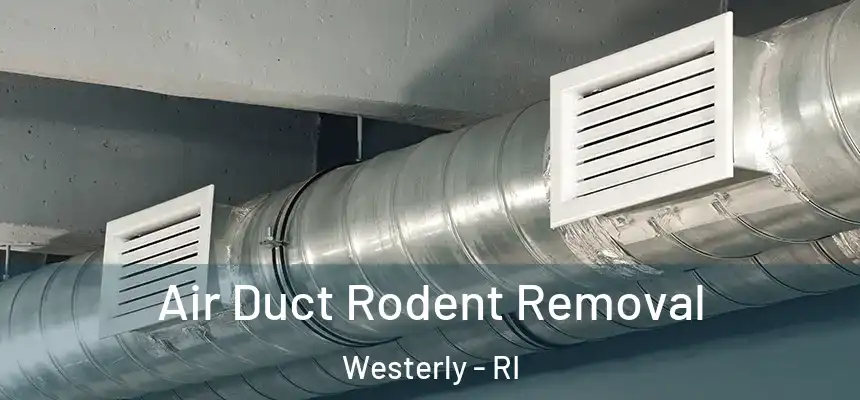  Air Duct Rodent Removal Westerly - RI