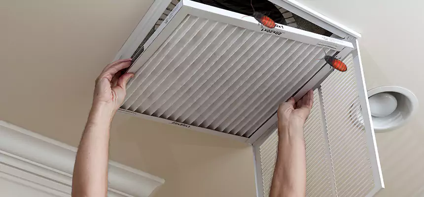 Our Insect Removal from Air Ducts Services in Westerly, RI