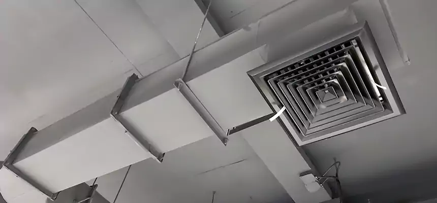 Our Pest Removal From Ducts Services in Westerly, RI