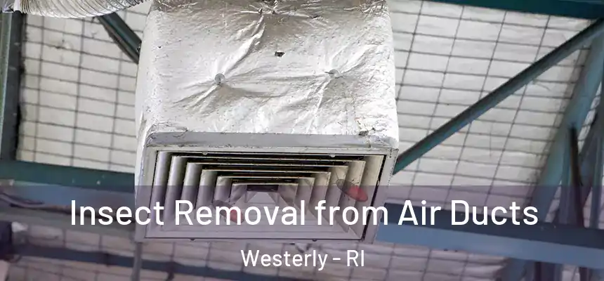  Insect Removal from Air Ducts Westerly - RI
