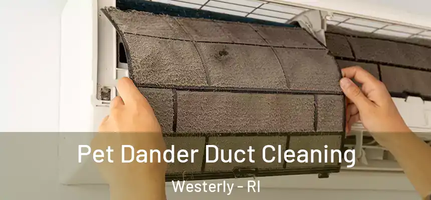  Pet Dander Duct Cleaning Westerly - RI