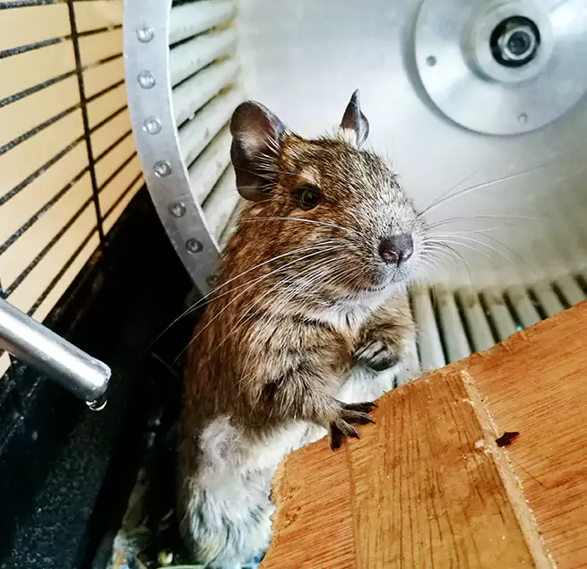 Why Homeowners & Businesses Trust Us Westerly, RI?