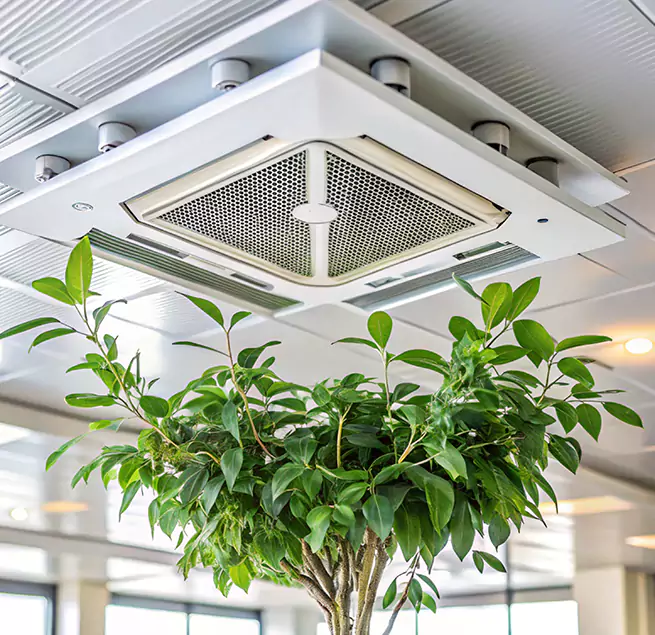 Why Homeowners & Businesses Trust Us in Westerly, RI