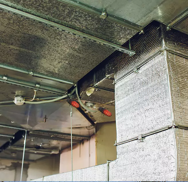 Why Homeowners & Businesses Trust Us Westerly, RI?